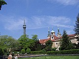 Obrázek v galerii
