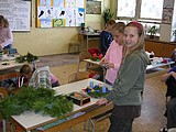 Obrázek v galerii
