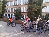Obrázek v galerii