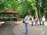 Obrázek v galerii