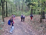 Obrázek v galerii