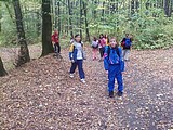 Obrázek v galerii