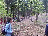 Obrázek v galerii
