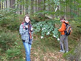 Obrázek v galerii
