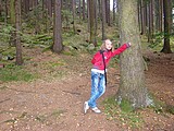 Obrázek v galerii