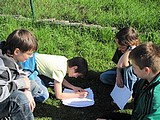 Obrázek v galerii