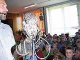 Obrázek v galerii