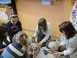 Obrázek v galerii