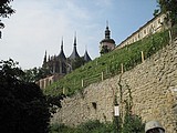 Obrázek v galerii