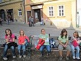 Obrázek v galerii