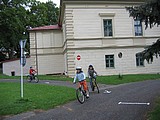 Obrázek v galerii