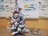 Obrázek v galerii