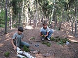 Obrázek v galerii