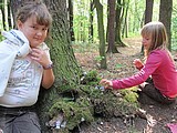 Obrázek v galerii