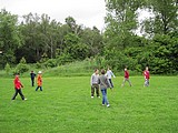 Obrázek v galerii