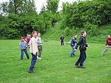 Obrázek v galerii