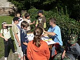 Obrázek v galerii