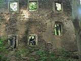 Obrázek v galerii