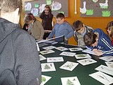 Obrázek v galerii