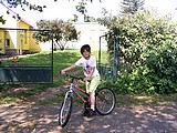 Obrázek v galerii