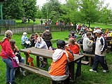 Obrázek v galerii