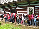 Obrázek v galerii