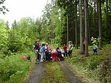 Obrázek v galerii