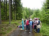 Obrázek v galerii