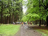 Obrázek v galerii