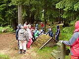 Obrázek v galerii