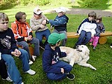 Obrázek v galerii