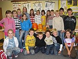 Obrázek v galerii