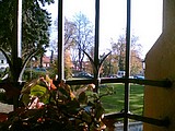 Obrázek v galerii