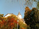 Obrázek v galerii