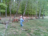 Obrázek v galerii