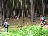 Obrázek v galerii