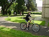 Obrázek v galerii
