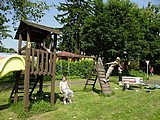 Obrázek v galerii