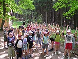 Obrázek v galerii