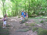 Obrázek v galerii