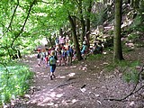 Obrázek v galerii