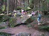 Obrázek v galerii