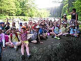 Obrázek v galerii