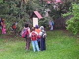 Obrázek v galerii