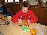 Obrázek v galerii