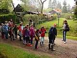 Obrázek v galerii