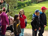 Obrázek v galerii