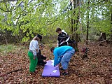 Obrázek v galerii