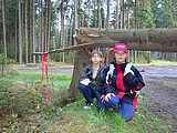 Obrázek v galerii