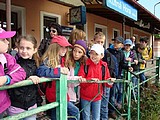 Obrázek v galerii